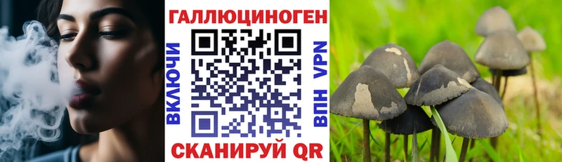 Купить закладки  Иланский  Галлюциногенные грибы прущие грибы 